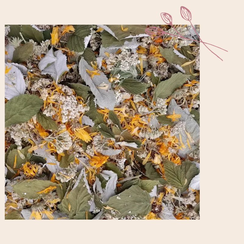 Tisane naturelle Tisane naturelle Bellydoo Bien-être
